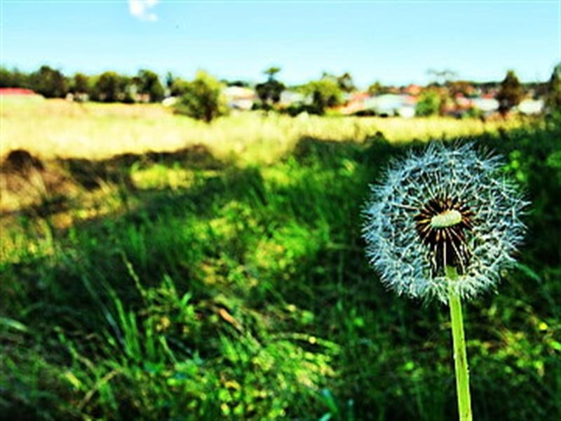 Lot 625 Sugarwood Road, Worrigee NSW 2540