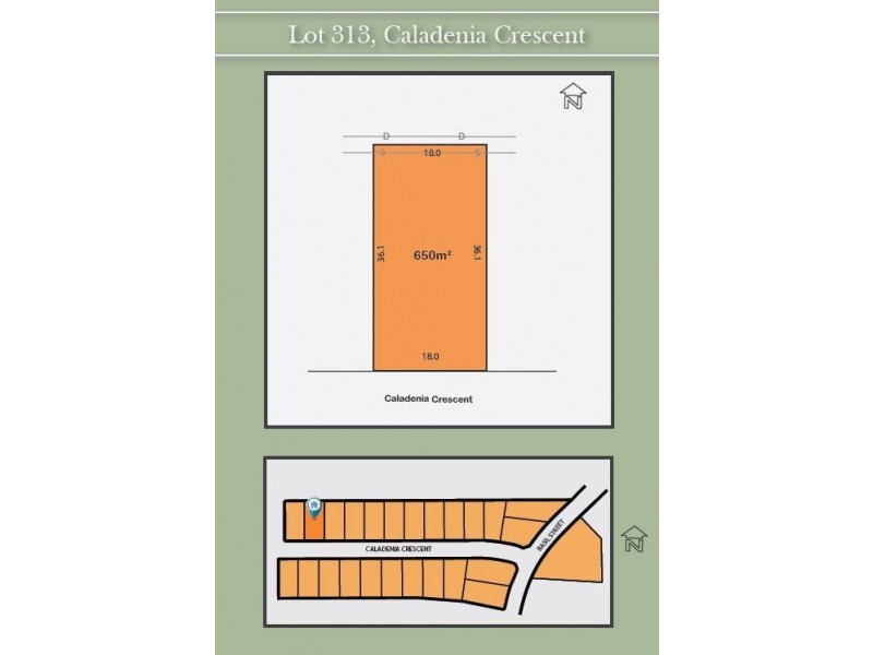 Lot 313 Caladenia Crescent, Worrigee NSW 2540