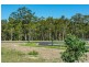 Lot 319 Caladenia Crescent, Worrigee NSW 2540