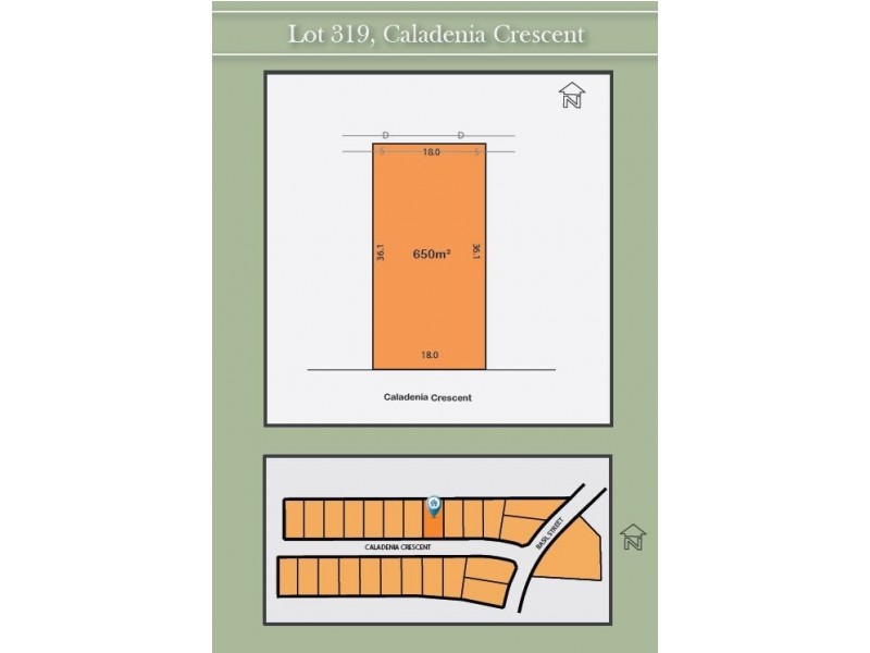 Lot 319 Caladenia Crescent, Worrigee NSW 2540