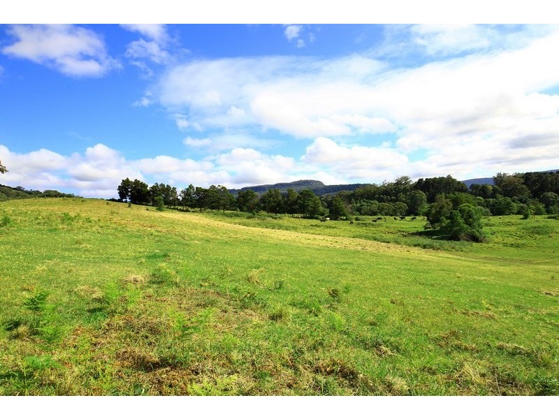 Lot 323 Huntingdale Park Estate, Berry NSW 2535