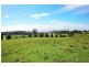 Lot 338 Huntingdale Park Estate, Berry NSW 2535