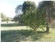 92 Illaroo Road, North Nowra NSW 2541