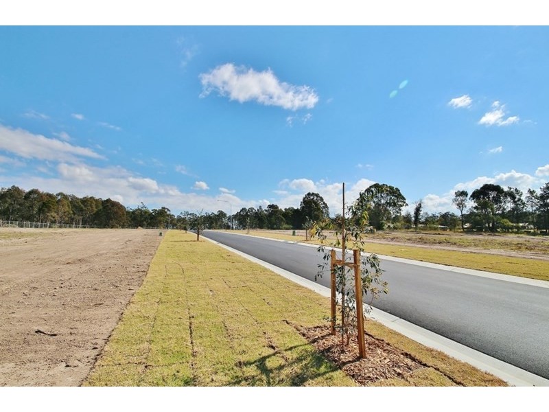 Lot 916 Brassia Rise, Worrigee NSW 2540
