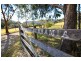 25 Old Burrier Road, Nowra Hill NSW 2540