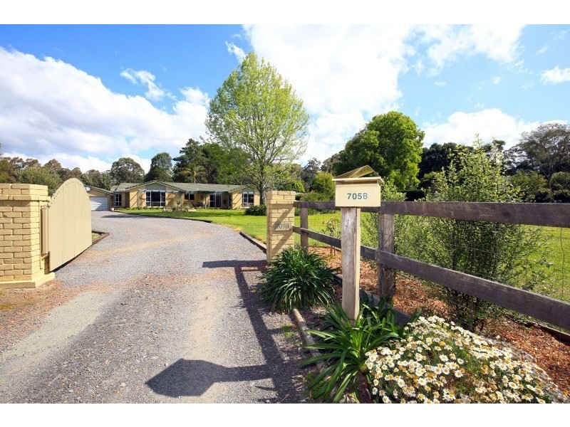 705B Illaroo Road, Tapitallee NSW 2540