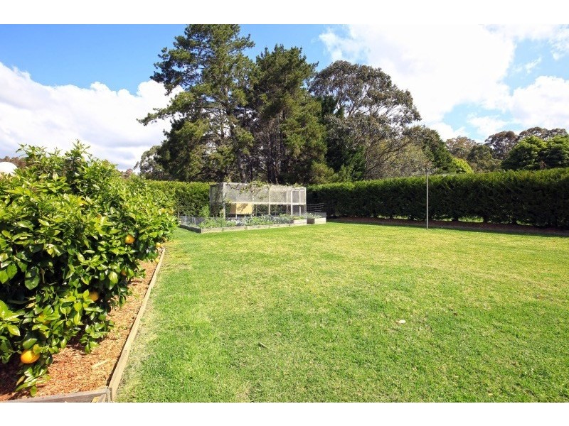 705B Illaroo Road, Tapitallee NSW 2540