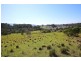 Lot 435 Huntingdale Park Estate, Berry NSW 2535