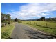 5 Taylors Lane, Bomaderry NSW 2541