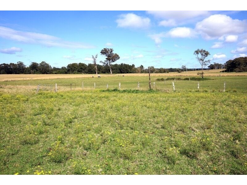5 Taylors Lane, Bomaderry NSW 2541