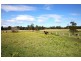 5 Taylors Lane, Bomaderry NSW 2541
