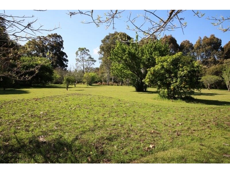 125 Moss Vale Road, Cambewarra NSW 2540