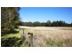 125 Moss Vale Road, Cambewarra NSW 2540