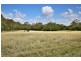 125 Moss Vale Road, Cambewarra NSW 2540