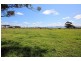 695a Greenwell Point Road, Brundee NSW 2540