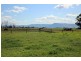 695a Greenwell Point Road, Brundee NSW 2540