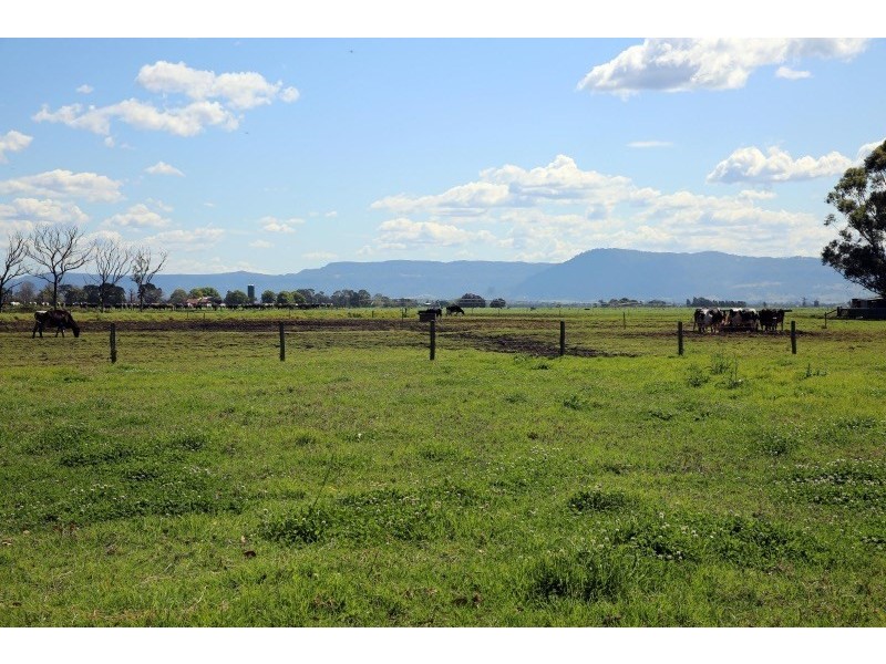695a Greenwell Point Road, Brundee NSW 2540