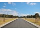 Lot 1010 Caladenia Crescent, Worrigee NSW 2540