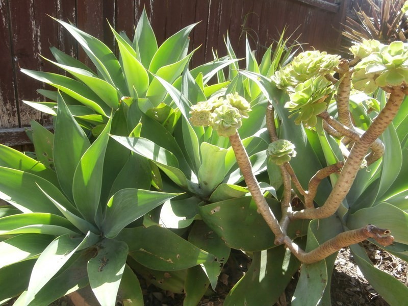 3 Harrison Street, North Nowra NSW 2541