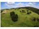 Lot 521 Huntingdale Park Estate, Berry NSW 2535