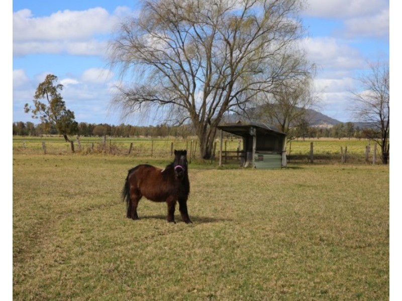 55a Mullers Lane, Berry NSW 2535