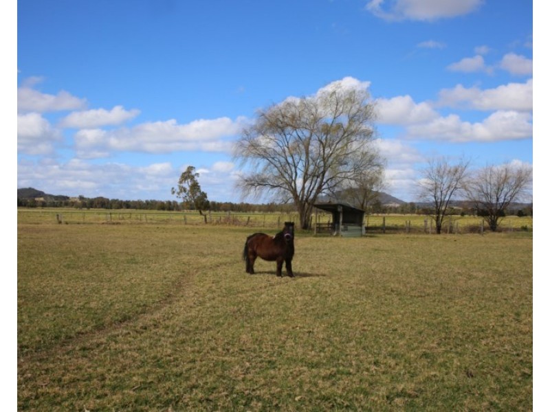 55a Mullers Lane, Berry NSW 2535