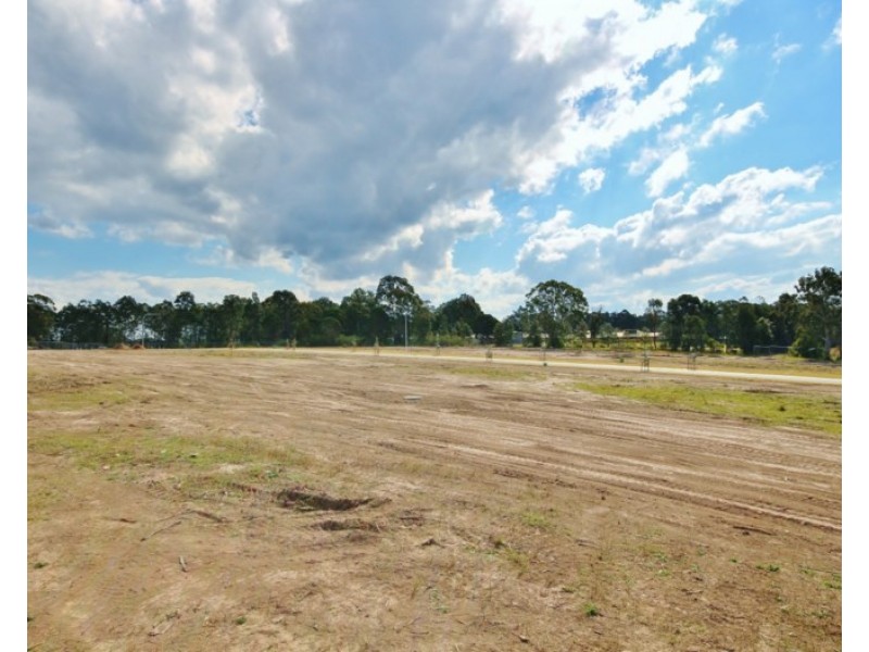 Lot 910 Brassia Rise, Worrigee NSW 2540