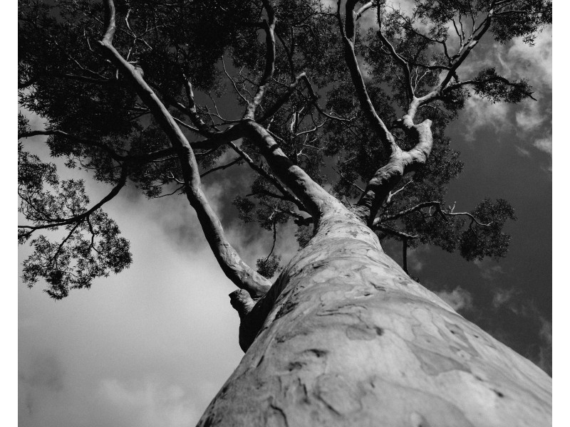 16 Jamieson Road, North Nowra NSW 2541