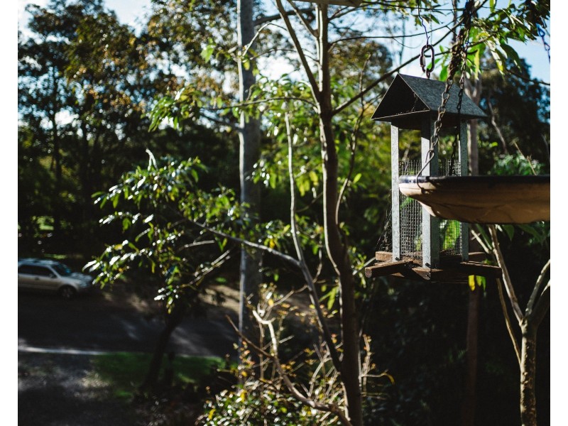 16 Jamieson Road, North Nowra NSW 2541