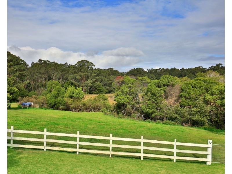 45 Hayward Road, Wandandian NSW 2540