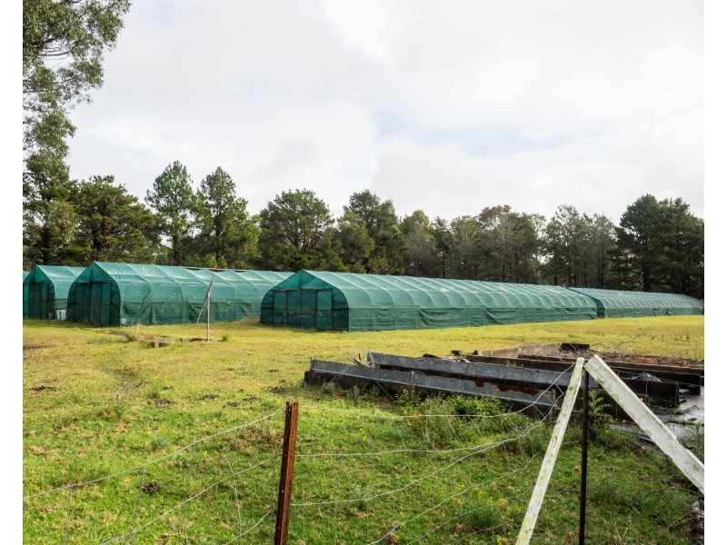 2 Central Avenue, South Nowra NSW 2541