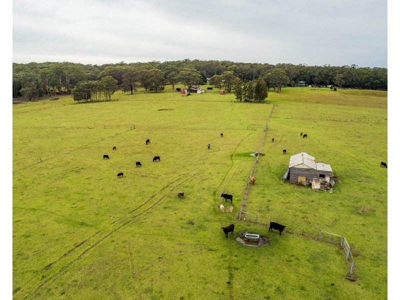 529B Culburra Road, Wollumboola NSW 2540