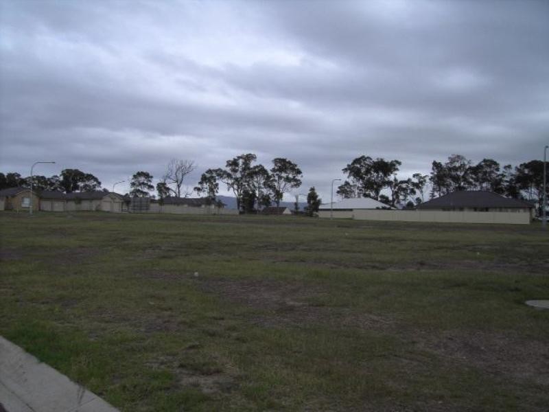 Lot 313 Bluewattle Road, Worrigee NSW 2540