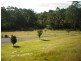 Lot 4 Princes Highway, Tomerong NSW 2540