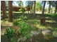 39 Lochaven Drive, Bangalee NSW 2541