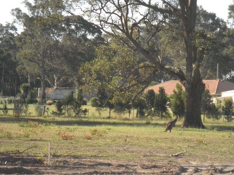 Lot 2 Kallata Grove, Worrigee NSW 2540