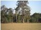 Lot 5 Kallata Grove, Worrigee NSW 2540