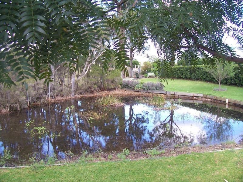 D2631 Princes Highway, Wandandian NSW 2540