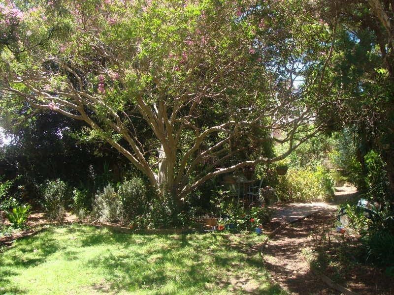 105 Berry Street, Nowra NSW 2541