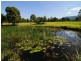540 Illaroo Road, Bangalee NSW 2541