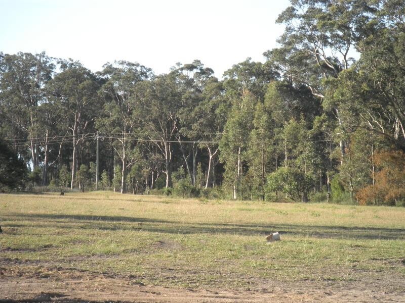9 Worrigee Road, Worrigee NSW 2540
