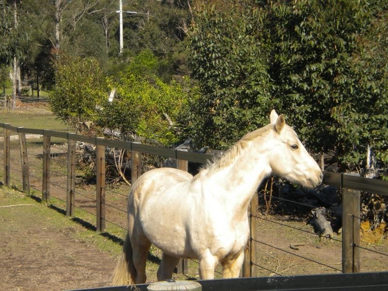 West Nowra NSW 2541