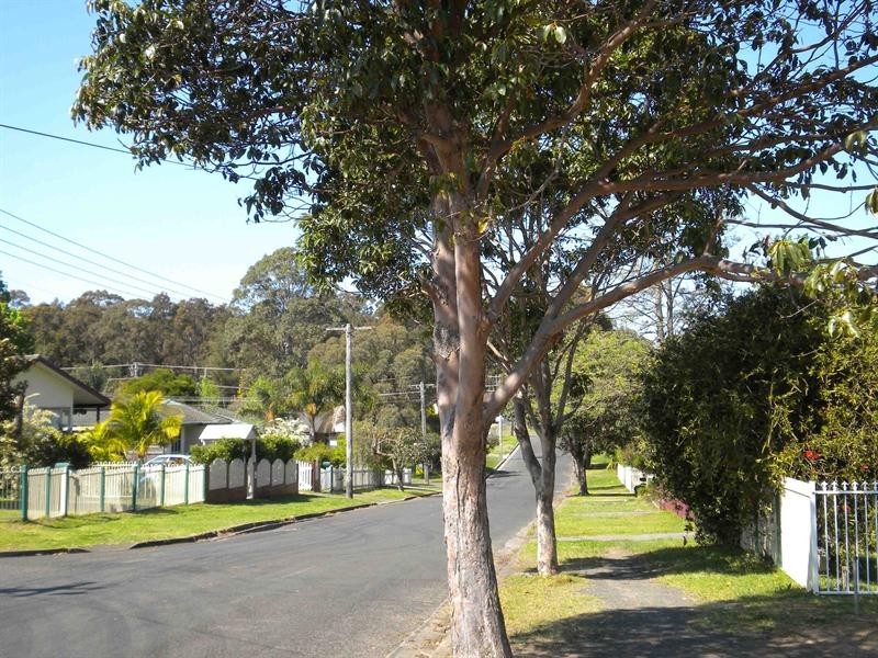 19 Queenborough Street, Nowra NSW 2541