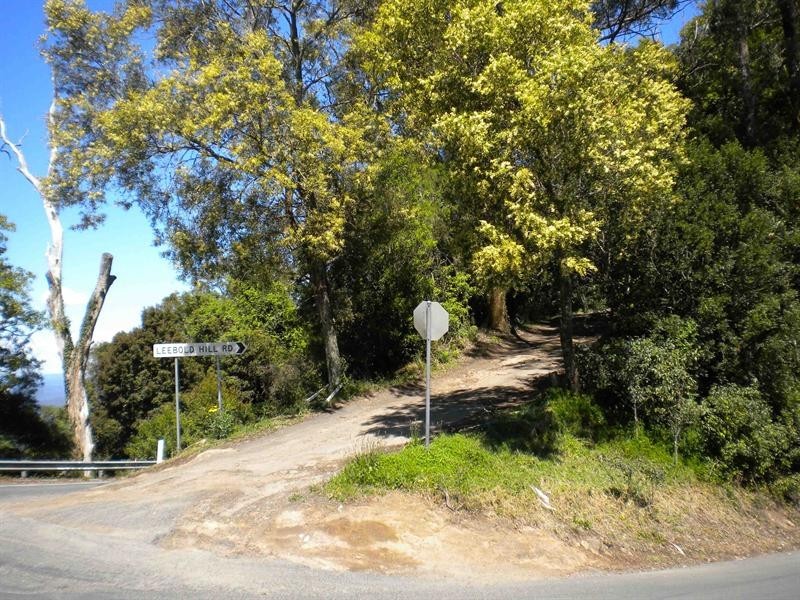 Browns Mountain NSW 2540