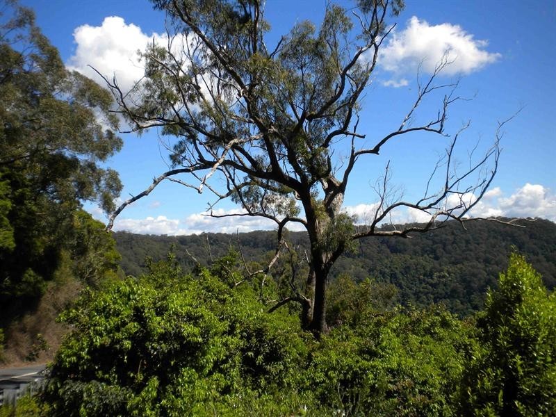 Browns Mountain NSW 2540