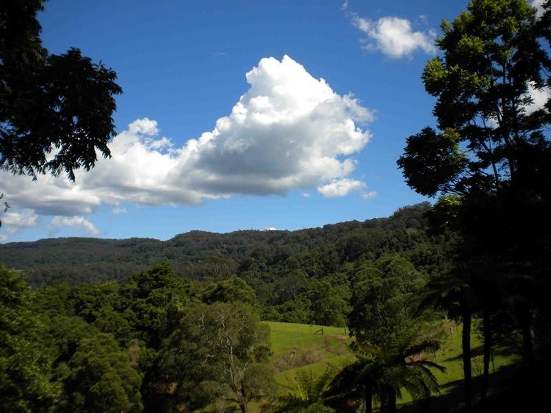 Browns Mountain NSW 2540