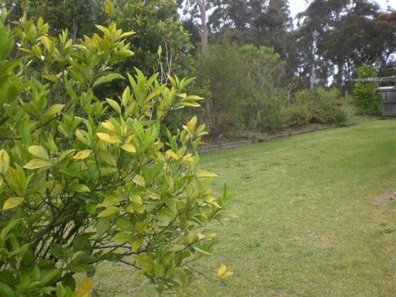 11 Paruna Place, North Nowra NSW 2541