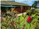 28 Glenair Avenue, West Nowra NSW 2541