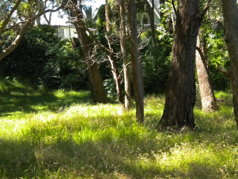 32 West Crescent, Culburra Beach NSW 2540