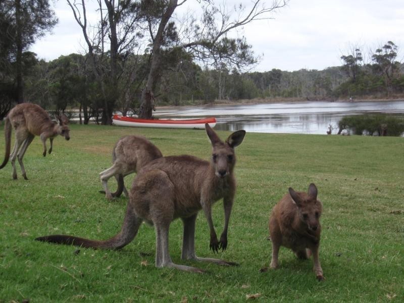 20/33 Berrara Road, Berrara NSW 2540